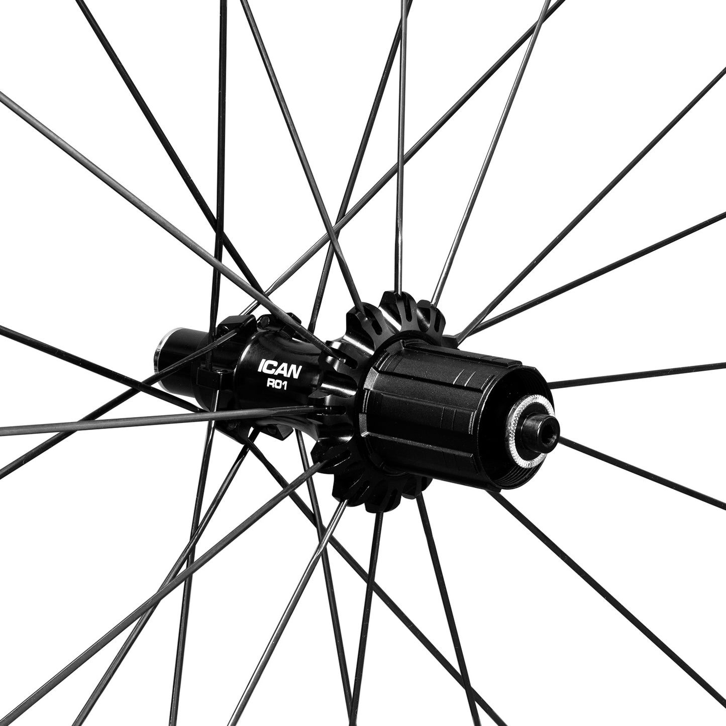 ICAN R01 Hub
